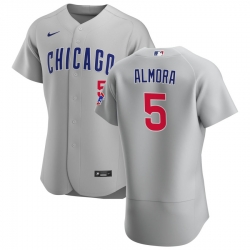 Men Chicago Cubs 5 Albert Almora Jr  Men Nike Gray Road 2020 Flex Base Team Jersey