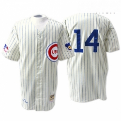 Mens Mitchell and Ness Chicago Cubs 14 Ernie Banks Authentic Cream 1969 Throwback MLB Jersey