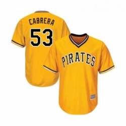 Youth Pittsburgh Pirates 53 Melky Cabrera Replica Gold Alternate Cool Base Baseball Jersey 