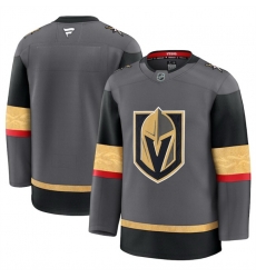 Men Vegas Golden Knights Blank Grey 2024 25 Alternate Stitched Hockey Jersey