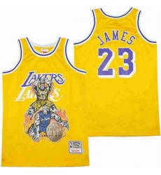 Men Los Angeles Lakers 23 LeBron James skeleton Stitched Jersey