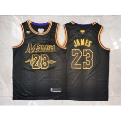 Men Los Angeles Lakers 23 Lebron James Black Mamba Swingman Jersey