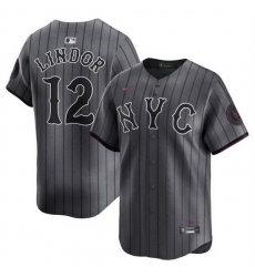 Men Women Youth New York Mets Customized Graphite 2024 City Connect Limited Stitched Baseball Jersey