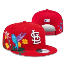 Arizona Cardinals Snapback Cap 24E11