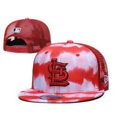 Arizona Cardinals Snapback Cap 24E14