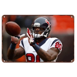 Houston Texans Aluminum Sign 12x8 Inch Andre Johnson 002